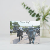 Rinderantrieb Nr. 5 Postkarte (Stehend Vorderseite)