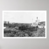 Rinderbarge Yukon River 1914 Poster (Vorne)