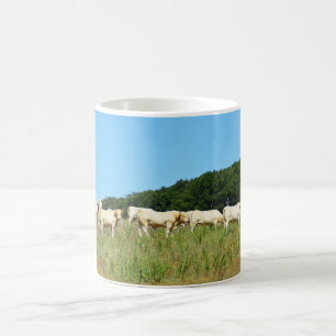 Rinderbestand Kaffeetasse