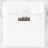 Rinderbestand und Himmel 2 Quadratischer Aufkleber (Tasche)