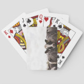 Rinderbestand und Himmel 2 Spielkarten (Rückseite)