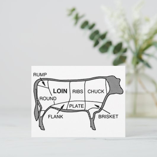 Rinderdiagramm Postkarte (Stehend Vorderseite)