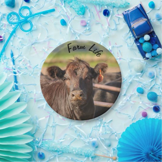 Rinderhaltung Pappteller (Party)