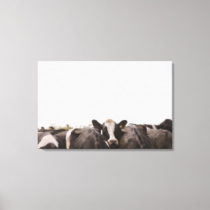 Rinderherde und bewölkter Himmel Leinwanddruck