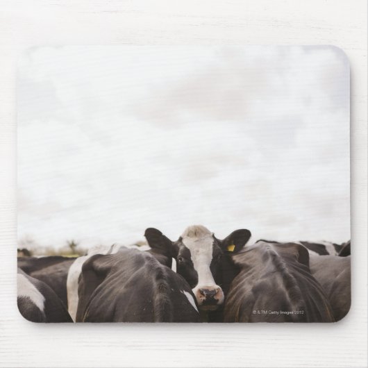 Rinderherde und bewölkter Himmel Mousepad (Vorne)
