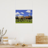 Rinderherde und bewölkter Himmel Poster (Küche)