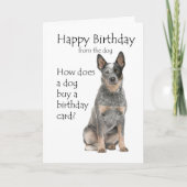 Rinderhund Geburtskarte Karte (Vorderseite)