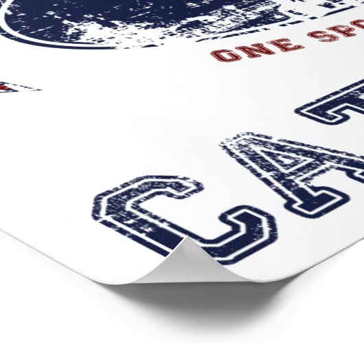 Rinderhund Poster (Ecke)