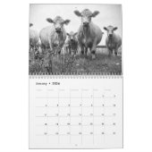 Rinderkalender 2024 kalender (Jan 2026)