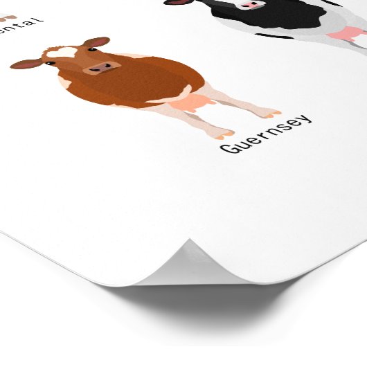 Rinderrasse Poster (Ecke)