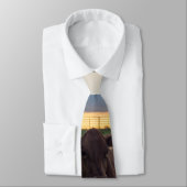 Rinderzucht Sunset Neck Tie Krawatte (Gebunden)