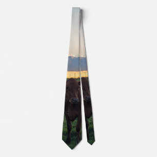 Rinderzucht Sunset Neck Tie Krawatte
