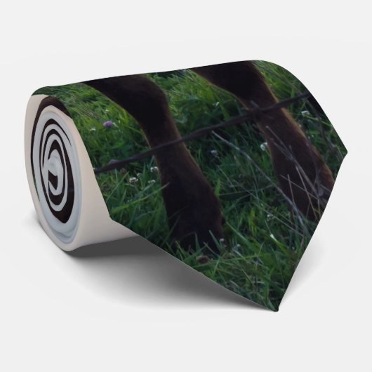 Rinderzucht Sunset Neck Tie Krawatte (Gerollt)