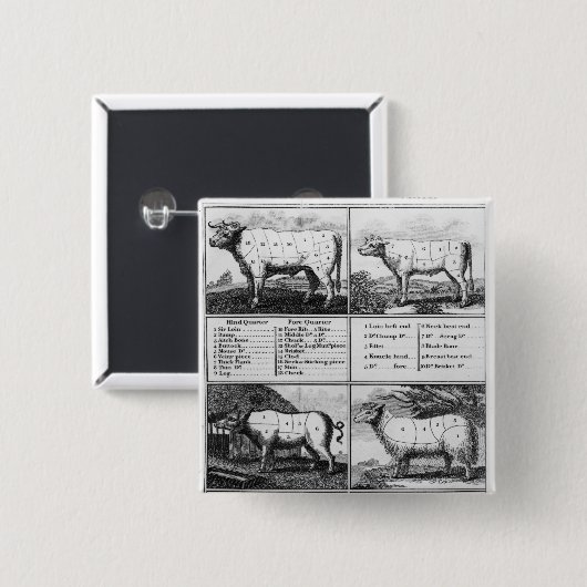 Rindfleisch, Kalbfleisch, Schweinefleisch und Button (Vorne & Hinten)