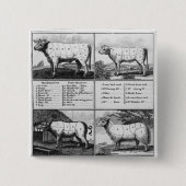 Rindfleisch, Kalbfleisch, Schweinefleisch und Button (Vorderseite)