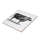 Rindfleisch-Kuh/Färse im Bleistift: Realismus: Fliese (Seite)