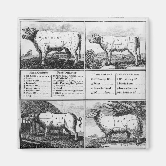 Rindfleisch, Schweinefleisch und Mutton, 1802 Magnet (Vorne)