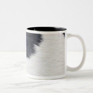 Rindleder-Druck Zweifarbige Tasse