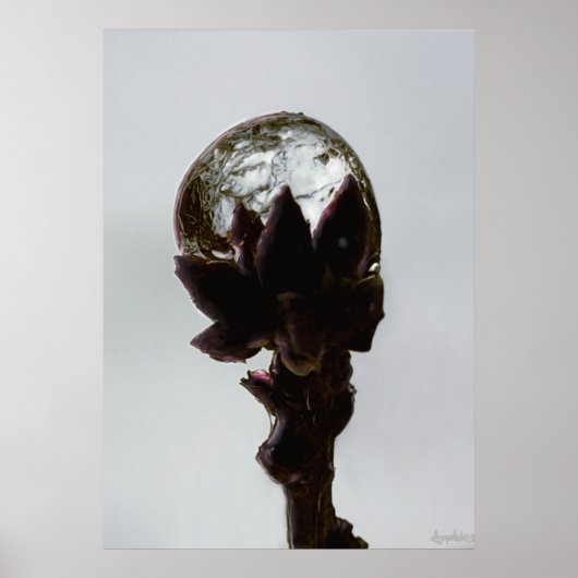 Rindrop, gefroren, auf Foto von Baumzweigen Poster (Vorne)