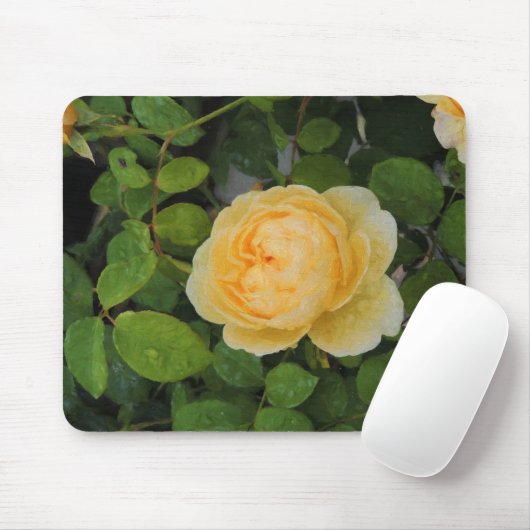 Rindropfen auf Gelben Rose Mousepad (Mit Mouse)