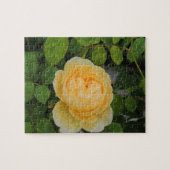 Rindropfen auf Gelben Rose Puzzle (Horizontal)