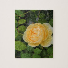 Rindropfen auf Gelben Rose Puzzle
