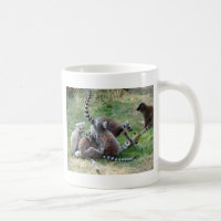Ring angebundene Lemurfamilie