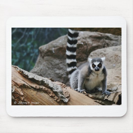 Ring angebundener Lemur Mousepad (Vorne)
