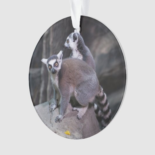 Ring-angebundener Lemur Ornament (Vorderseite)