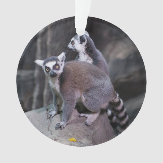 Ring-angebundener Lemur Ornament (Vorderseite)