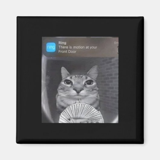 Ring Cat mit Motion Meme Magnet (Vorne)