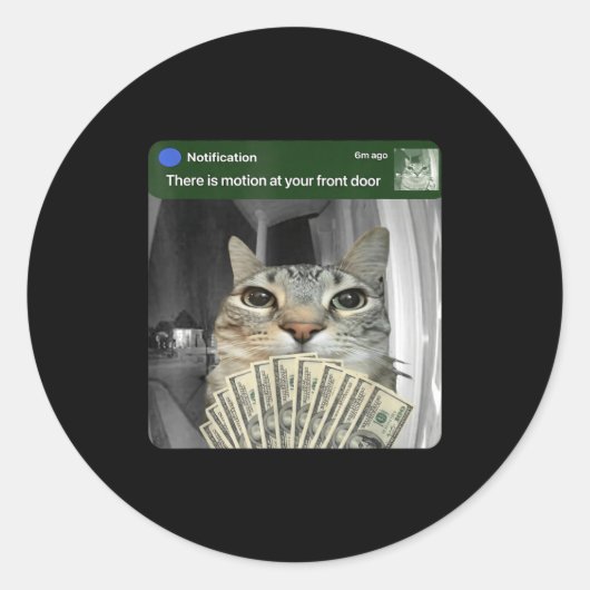 Ring Cat With Motion Meme Runder Aufkleber (Vorderseite)