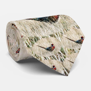 Ring-Hals-Fasan in der Wiese Krawatte