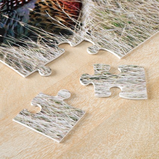 Ring-Hals-Fasan in der Wiese Puzzle (Seite)