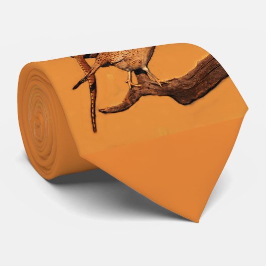 Ring-Hals Fasan (South Dakota) Krawatte (Gerollt)