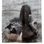 Ring-Neck-Ente Duschvorhang (Vorderseite)