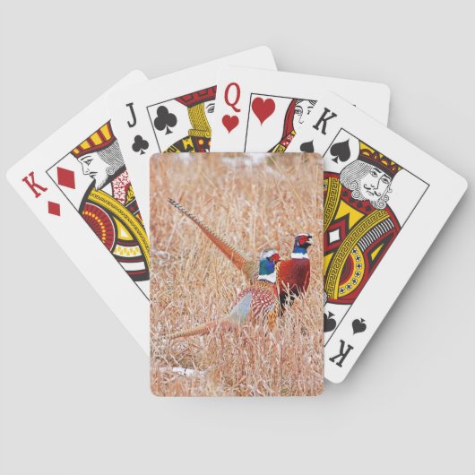 Ring Neck Pheasant Bicycle Playing Cards Spielkarten (Rückseite)