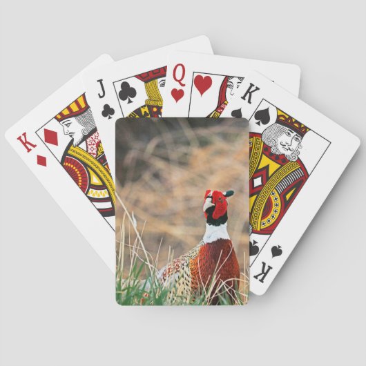 Ring Neck Pheasant Bicycle Playing Cards Spielkarten (Rückseite)