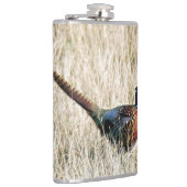Ring Neck Pheasant in Meadow Flachmann (Rechts)