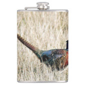 Ring Neck Pheasant in Meadow Flachmann (Vorderseite)