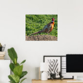 Ring Neck Pheasant Poster (Heimbüro)