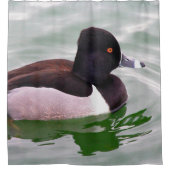 Ring Necked Duck Duschvorhang (Vorderseite)
