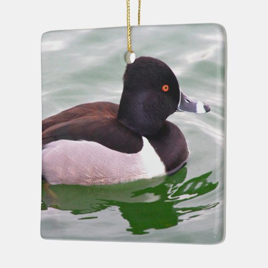Ring Necked Duck Keramikornament (Links)