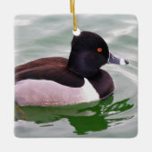 Ring Necked Duck Keramikornament (Vorderseite)