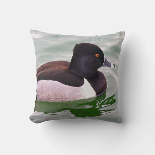 Ring Necked Duck Kissen (Vorderseite)