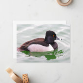 Ring Necked Duck Mitteilungskarte (Vorderseite/Rückseite Beispiel)