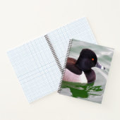 Ring Necked Duck Notizblock (Innenseite)