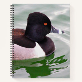 Ring Necked Duck Notizblock