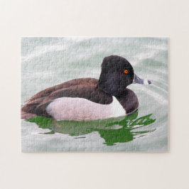 Ring Necked Duck Puzzle