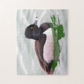 Ring Necked Duck Puzzle (Vertikal)
